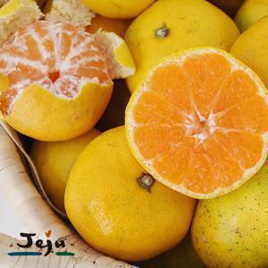 새코롬달코롬제주감귤 특가 가정용 L~2L 랜덤발송 10kg 포장재무게포함