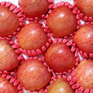 털보네 명품선물세트 5kg 14~16과 맛있는 털보네 햇부사 (13~17과 내외)