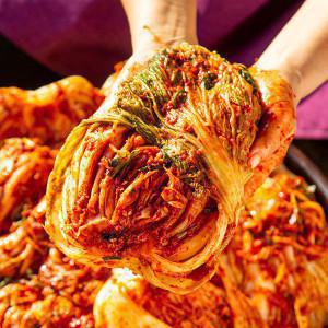 (신선집중) 100%국내산 전라도 포기김치 배추김치 10kg