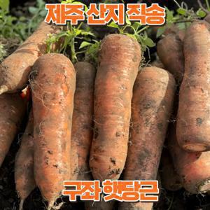 구좌 당근 제주산 흙당근 10kg 사이즈 선택 저장당근과 비교하지마세요.
