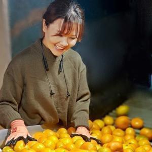 유나네농장 노지감귤 10kg 소과(2s과) 2000박스 2026신년 한정