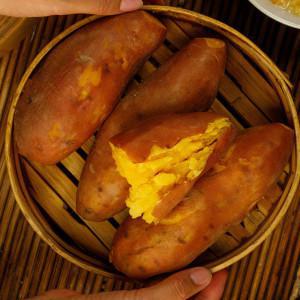 (신선집중) 전북 익산 황토 고구마 꿀고구마 호박고구마 5kg(특상중혼합)