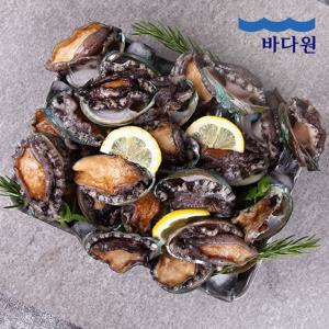 산지직송 완도 활전복 1kg (9-10미 내외)+손질칼