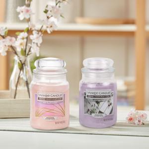 HI 라지자 18종 택1 /23년 신향/정품