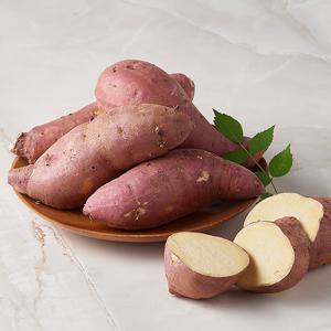 [작심밀도]산지직송 25년 해남 햇고구마 중사이즈 3kg / 황토밭재배