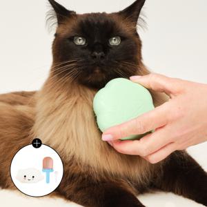 [펫티저] 캣 그루밍 브러쉬