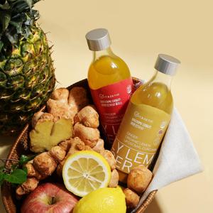 비타제틱 데일리 레몬진저샷 프리미엄 250ml