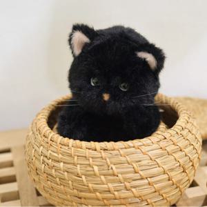 테디테일즈 레나캣 탄냥이 S