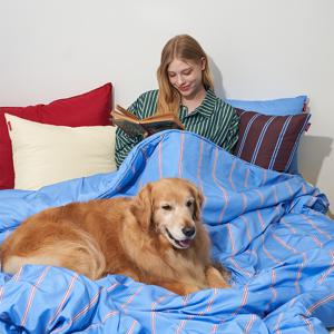 알러지케어 스트라이프 솔리드 리버시블 차렵이불 블루 (SS/QK)