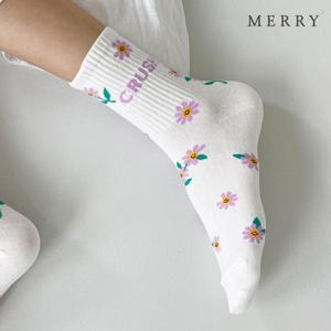 아이리스 플라워 밴딩 삭스 5족 세트/여성 발목양말
