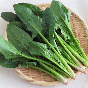 국내산 시금치 1kg 2kg