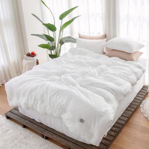 [LIVE] 그래이불 고밀도 수피마 100수 이불 구성 7종 택1