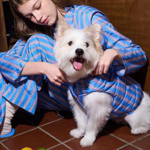 퍼리스 양면 경량 패딩 베스트[반려동물용] (3color 5size)