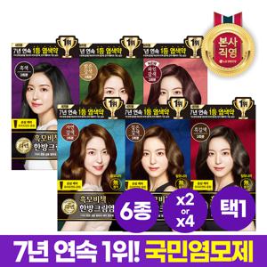 리엔 흑모비책 크림 염색약 120g 2개 or 4개 [6종 택1]