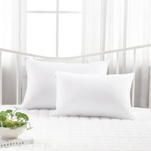 항균베개솜 50x70 1장