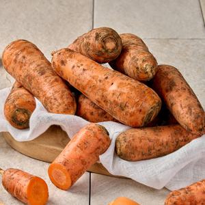 팜스프링 제주 구좌 흙당근 3kg 5kg