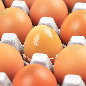 [G] [파손보상] 구운계란 30구 2판 (총 60구)