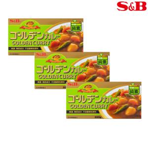 에스비 비건 골든카레 중간매운맛 220g x 3개입