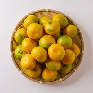 [작심밀도]제주직송 제주감귤 소과(2S) 3kg