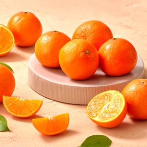 [25년 첫등장] 딱2주만! 귀한 오렌지귤 고당도 제주 홍매향 1kg