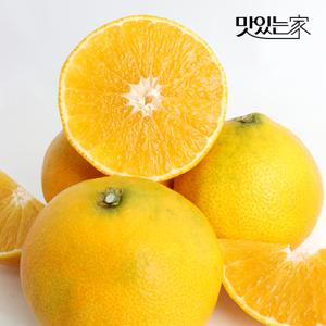 부성훈 생산자의 달콤한 제주 황금향 3kg