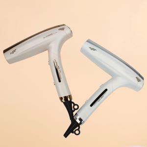 르꽁뜨 드라이기 BLDC 샤인 헤어 전문가용 고출력 저소음 경량 빠른 건조 LC-HD003