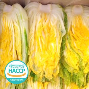 [예약판매] 해썹인증 강원도 절임 배추 20kg 7-10포기 절인 김장 김치 인제