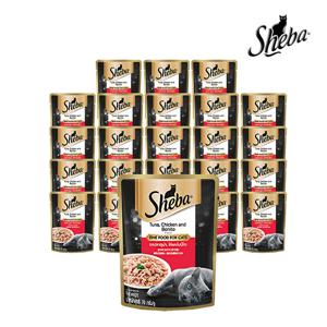 파우치 참치와 닭고기 70G 24팩