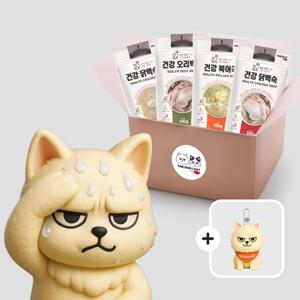 까칠한 보양식 4종 키트 (+강아지 키링)