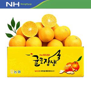 귤로장생 고당도 황금향 2.5kg 중소과