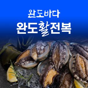 완도바다 완도 활전복 [특대]21미 총 중량 1.7Kg 이상