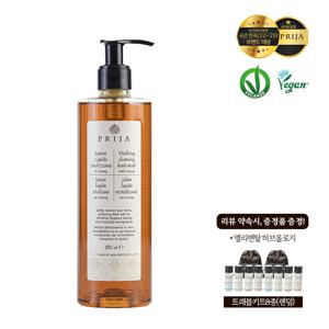 PRIJA 프리야 바이탈라이징 클렌징 핸드워시380ml