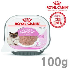 로얄캐닌 마더앤베이비 고양이 습식사료 소프트무스 트레이100g 1개