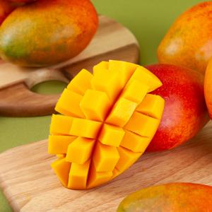 제주직송 프리미엄 애플망고 선물용 2kg 3kg 명절선물세트