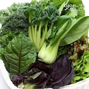 맛있는가 전성진 생산자의 유기농 쌈채소 5~10가지