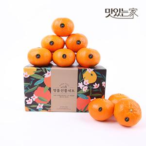 제주 고당도 블랙라벨 레드향 2kg/4.5kg 무료배송