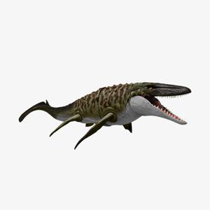 쥬라기월드 새로운 시작 NEW 모사사우루스