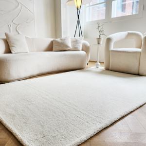 발열 거실 러그 도톰한 겨울 카페트 워셔블 특대형 200x350cm