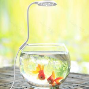 어항 조명 클립식 무드등 자바라 식물 성장등 BB0061 보광등 해수어