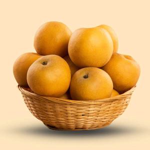 맛있는 나주배 선물세트 3kg/5kg 크기선택 외 가정용 나주배