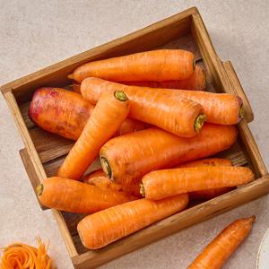 25년 수확 제주 구좌 흙당근 3kg(중) 외