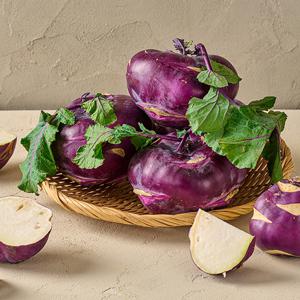 25년 수확 제주 한경 햇 콜라비 3kg내외 외