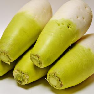 25년 수확 제주 햇 월동무 5kg내외 외