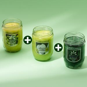 국산 르미에 홈캔들 365g 1+1+1 매일매일 홈캔들