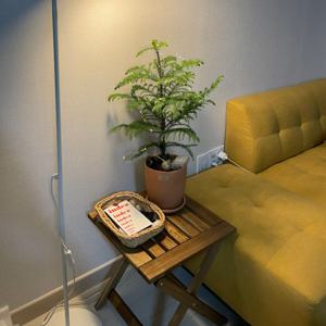 #베스트 리뷰 CJ어워드 1등소파 *뮤즈 2인소파 스툴포함 무지개 컬러풀 공간인테리어 11색