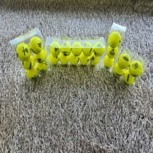 골프공 다이아윙스 M5 장타 비거리 고반발 볼 유광옐로우 10구 (투명케이스 포장). TA3674700