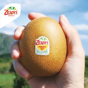 G) 제스프리 썬골드키위 슈퍼점보과 3.4kg (22입,개당 155g내외)