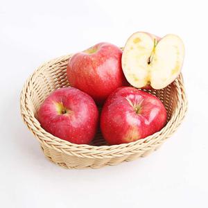 잇담_경북_실속 가정용 부사 사과2kg 4kg 무료배송
