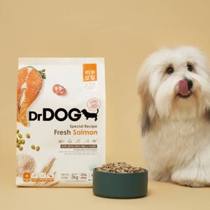 강아지사료 알러지 눈물 연어 2kg