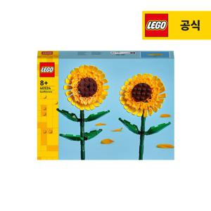 플라워 40524 해바라기